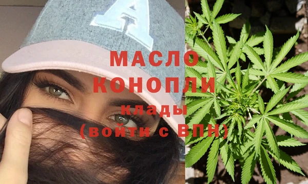 индика Нефтекумск